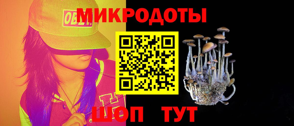 где купить наркоту  Псилоцибиновые грибы Psilocybe  Кисловодск  Вход с VPN  Псилоцибиновые грибы мицелий 