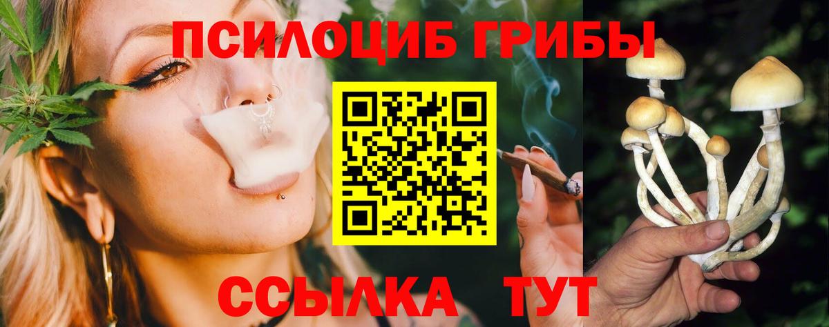 Псилоцибиновые грибы MAGIC MUSHROOMS Кисловодск